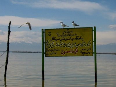 بندرانزلی-پناهگاه-حیات-وحش-سرخانکل-8336