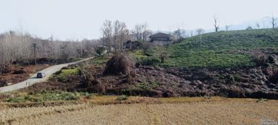 شفت-روستای-خلیلان-شفت-8734