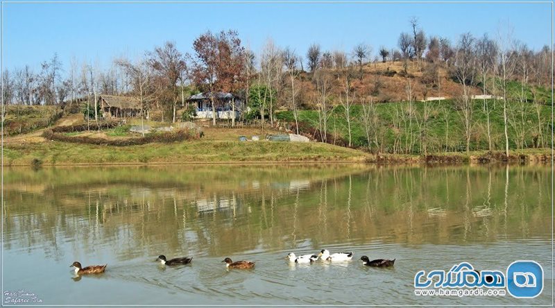 روستای خلیلان شفت