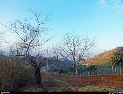 رودسر-روستای-سی-سرا-8857