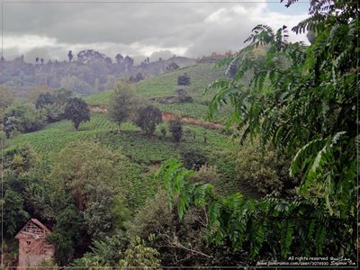 روستای آبچالکی