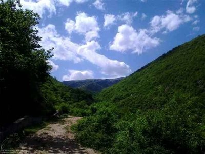 رودبار-ییلاق-سلانسر-9021