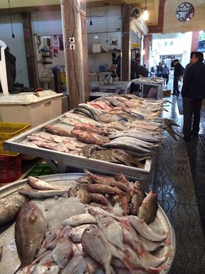 بوشهر-بازار-ماهی-بوشهر-32915