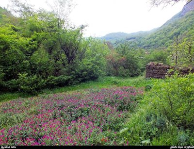 رحیم-آباد-روستای-سیاهکشان-9082