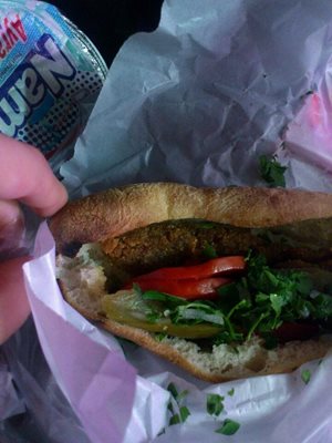 تهران-ساندویچ-یگانه-9489