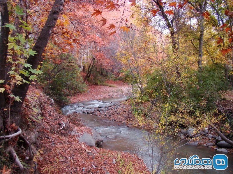 روستای برغان