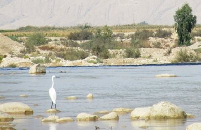 ممسنی-رودخانه-فهلیان-10277
