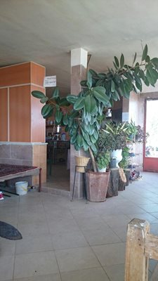 قزوین-قهوه-خانه-گدوک-28154
