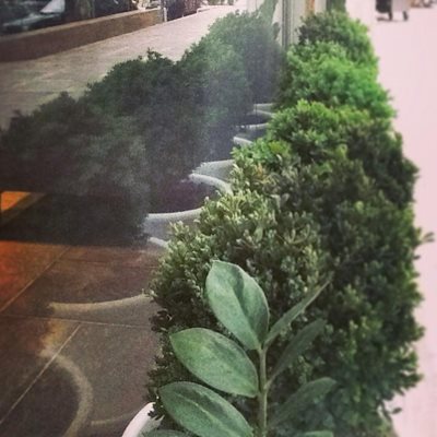 تهران-کافه-ژان-51012