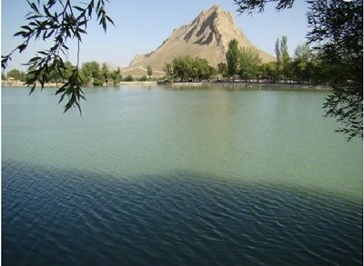 بن-گرداب-بن-15817