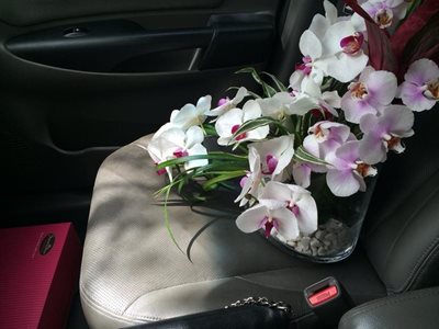 گل فروشی سیکاس