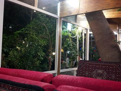 تهران-باغچه-خانوادگی-آبشار-27253