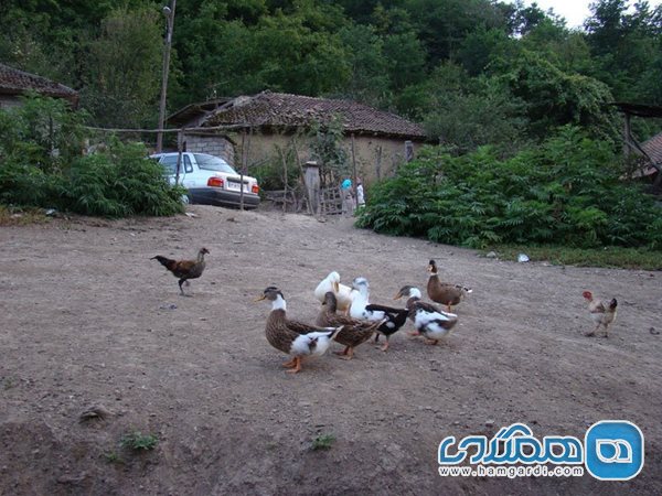 روستای کوته کومه