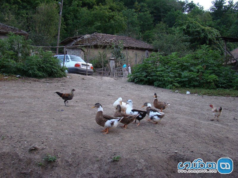 روستای کوته کومه