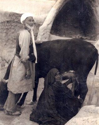 روستای سکوهه