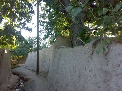 کوچه باغهای کویری سمنان