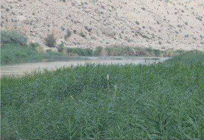 شیراز-رودخانه-قره-آغاج-20525
