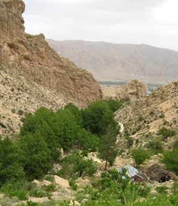 استهبان-چشمه-قهری-20560