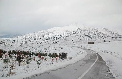 گرگان-روستای-چهارباغ-23649