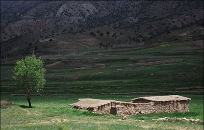 گرگان-روستای-چهارباغ-23653