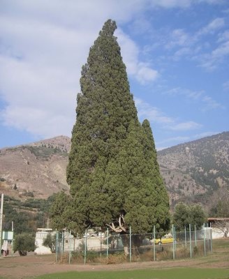رودبار-روستای-هرزویل-23750
