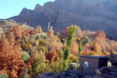 شیراز-روستای-قلات-26894