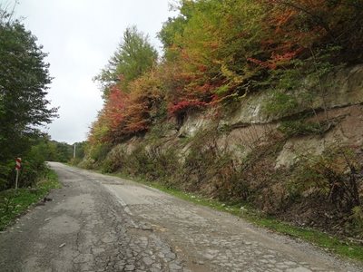 روستای لاجیم