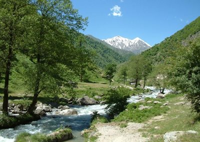 چالوس-روستای-کردیچال-26930