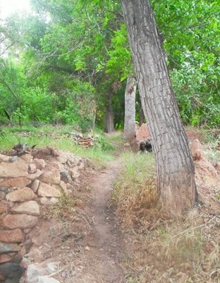 دلیجان-پناهگاه-حیات-وحش-جاسب-28223