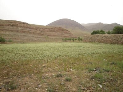 دلیجان-پناهگاه-حیات-وحش-جاسب-28229