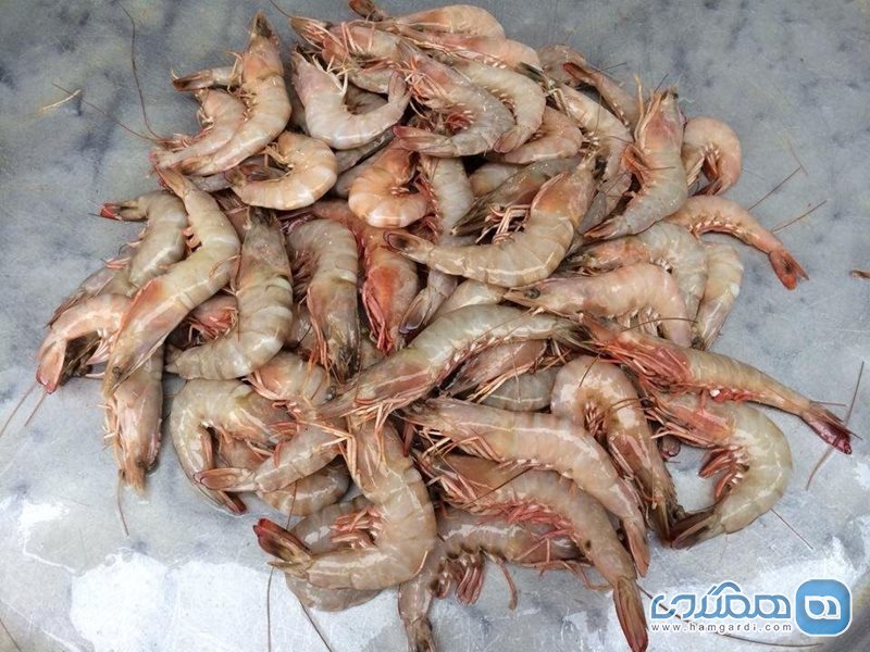 بازار ماهی بوشهر