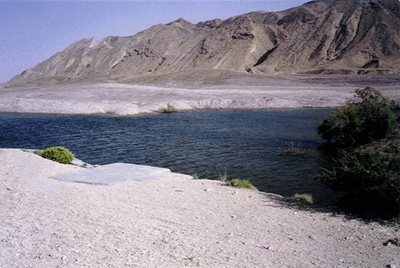 بستک-سد-جاوید-28823