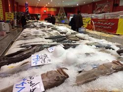 بازار ماهی خلیج فارس