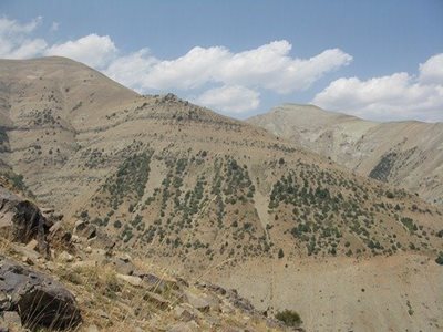 فشم-روستای-ایگل-31354