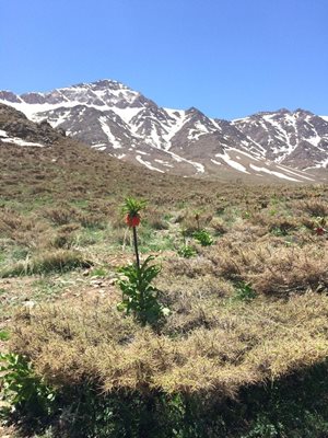 خوانسار-منطقه-حفاظت-شده-گلستان-کوه-36613
