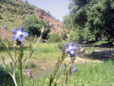 ارومیه-خان-دره-سی-32250