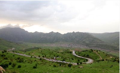 کامیاران-زیستگاه-شاهو-32477
