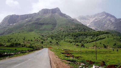 کامیاران-زیستگاه-شاهو-32476