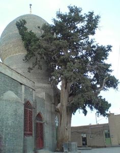 سیرجان-امامزاده-احمد-سیرجان-34045