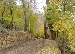 روستای افجه