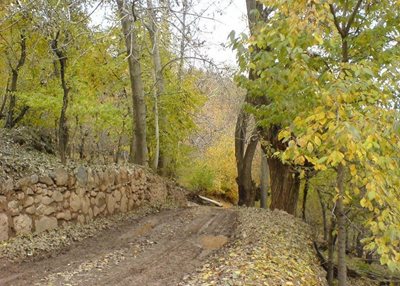 لواسان-روستای-افجه-34976