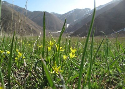 لواسان-روستای-افجه-34972