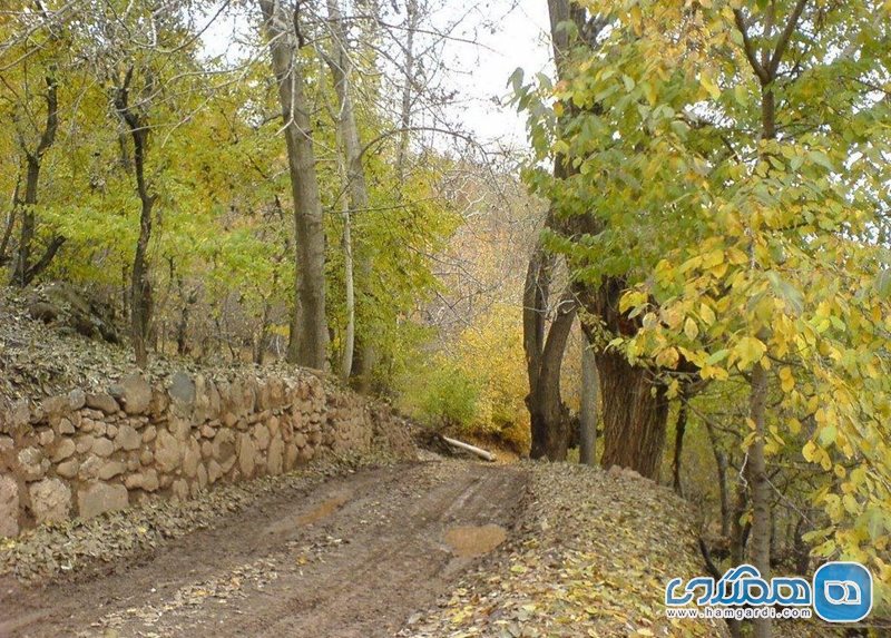 روستای افجه