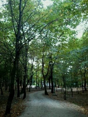 آمل-پارک-جنگلی-میرزا-کوچک-خان-36114
