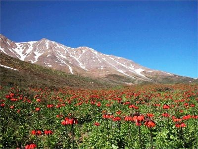 خوانسار-منطقه-حفاظت-شده-گلستان-کوه-36612