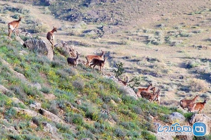 پارک ملی خجیر