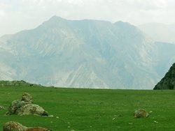 کوه خشواش