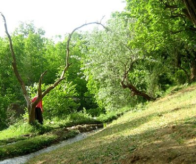 سنندج-روستای-کیلانه-39534