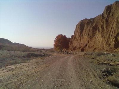 سبزوار-روستای-مهر-39648