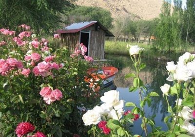 اقلید-باتلاق-گور-بهرام-40545